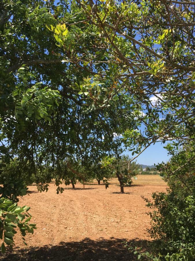 Вилла Finca Es Vinyet Поррерас Экстерьер фото